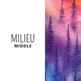 Forêt arc-en-ciel 2.0