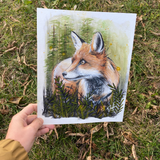 Reproduction 8'' x 10'' - Renard