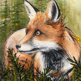 Reproduction 8'' x 10'' - Renard