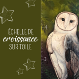 Échelle de croissance - Chouette