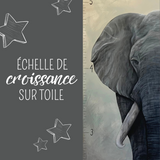 Échelle de croissance - Éléphant