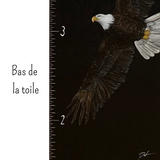 Échelle de croissance - Aigle