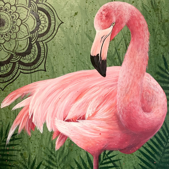 Flamingo